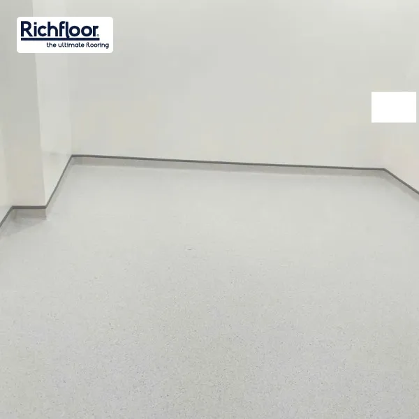 àn vinyl màu sắc trong lĩnh vực giáo dục